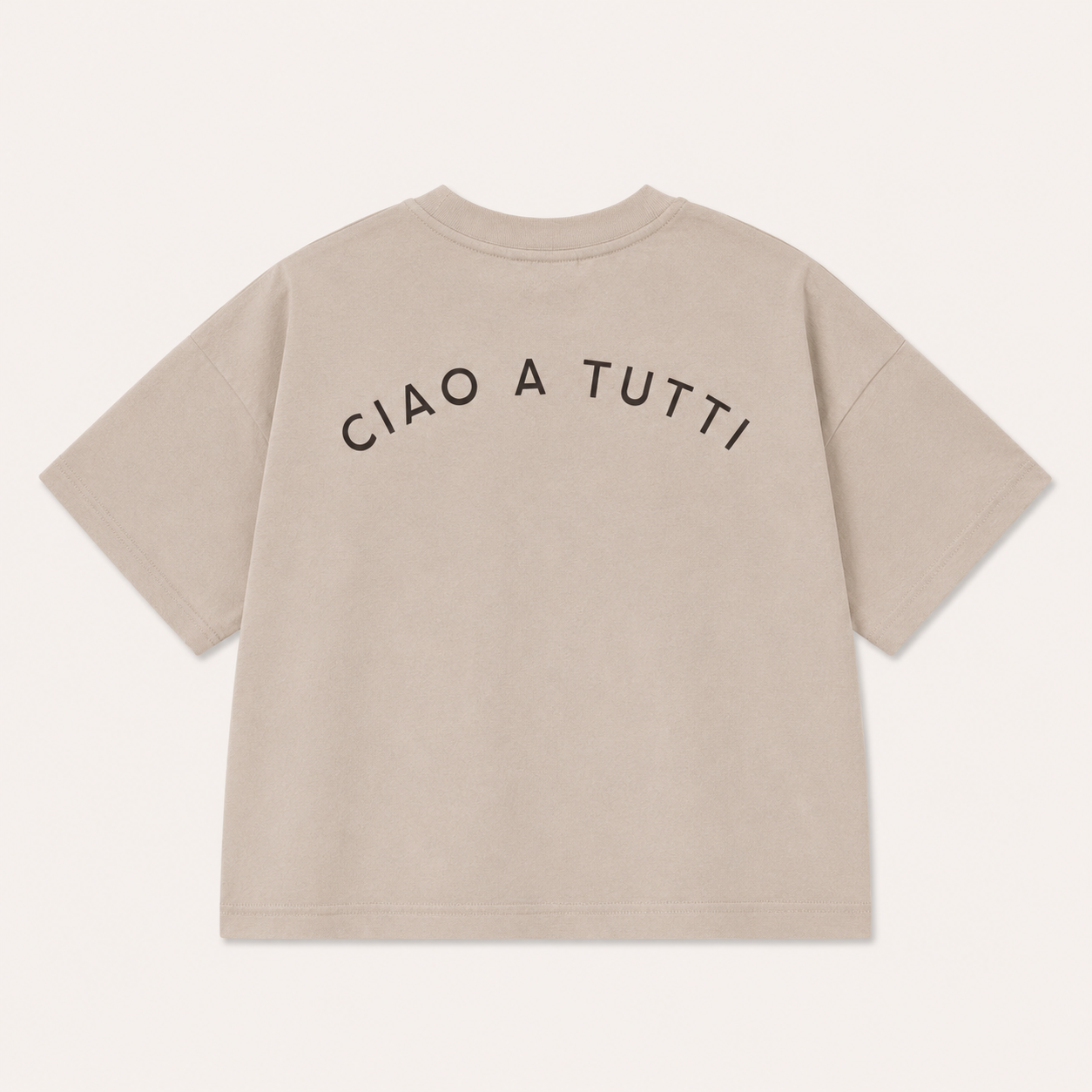 Bon Voyage Oversized t-shirt - Toasted Almond